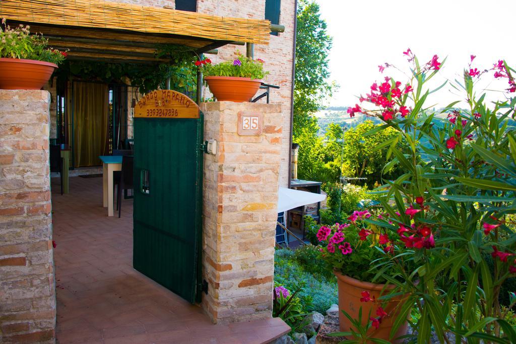 B&B Borgo Marano Cupra Marittima Extérieur photo